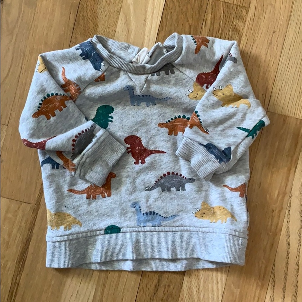 H&M dinosaur sweatshirt